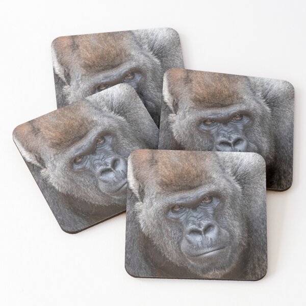 Item preview, Gorilla Stadi at Zoo Atlanta designed and sold by Zoo and Nature Photography by Karie.
