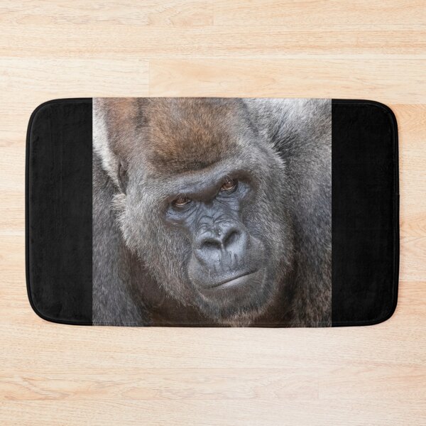 Item preview, Gorilla Stadi at Zoo Atlanta designed and sold by Zoo and Nature Photography by Karie.