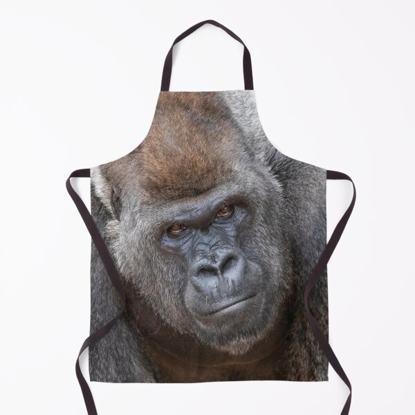 Item preview, Gorilla Stadi at Zoo Atlanta designed and sold by Zoo and Nature Photography by Karie.