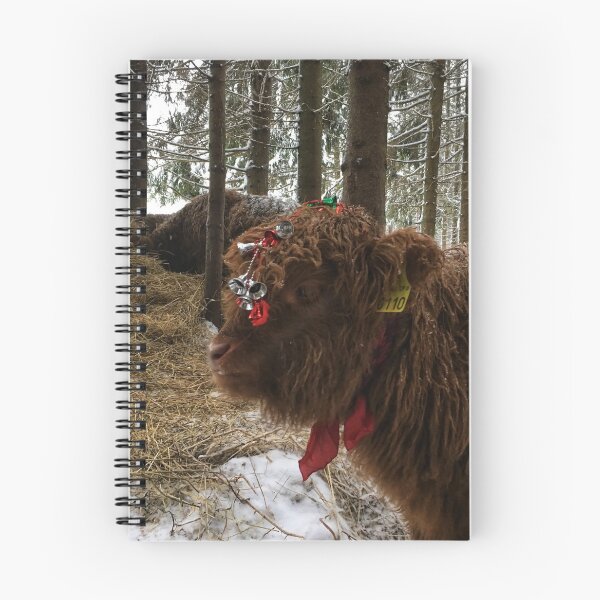 Item preview, Scottish Highland Cattle Calf 1631 designed and sold by SaarelaHighland.