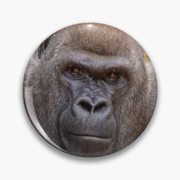 Item preview, Gorilla Stadi at Zoo Atlanta designed and sold by Zoo and Nature Photography by Karie.