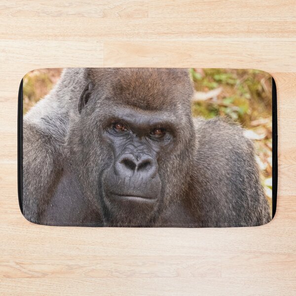 Item preview, Gorilla Stadi at Zoo Atlanta designed and sold by Zoo and Nature Photography by Karie.
