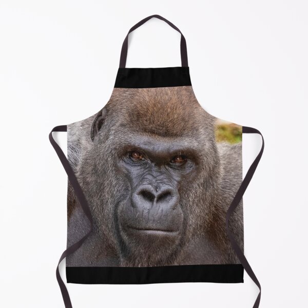 Item preview, Gorilla Stadi at Zoo Atlanta designed and sold by Zoo and Nature Photography by Karie.