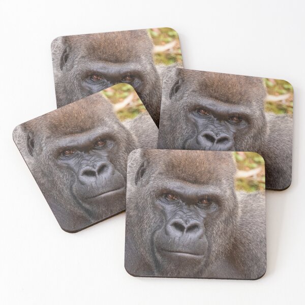 Item preview, Gorilla Stadi at Zoo Atlanta designed and sold by Zoo and Nature Photography by Karie.