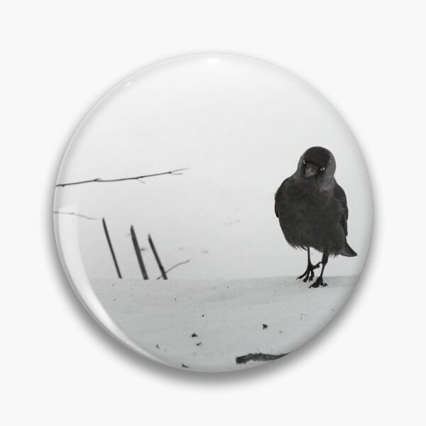 Item preview, Step by step. Eurasian jackdaw bw designed and sold by Jouko Lehto Photography.