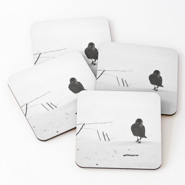 Item preview, Step by step. Eurasian jackdaw bw designed and sold by Jouko Lehto Photography.