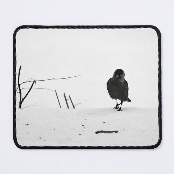 Item preview, Step by step. Eurasian jackdaw bw designed and sold by Jouko Lehto Photography.