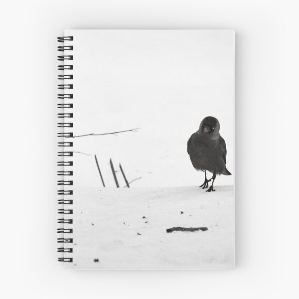 Item preview, Step by step. Eurasian jackdaw bw designed and sold by Jouko Lehto Photography.