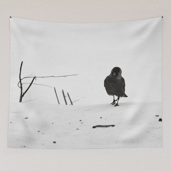 Item preview, Step by step. Eurasian jackdaw bw designed and sold by Jouko Lehto Photography.