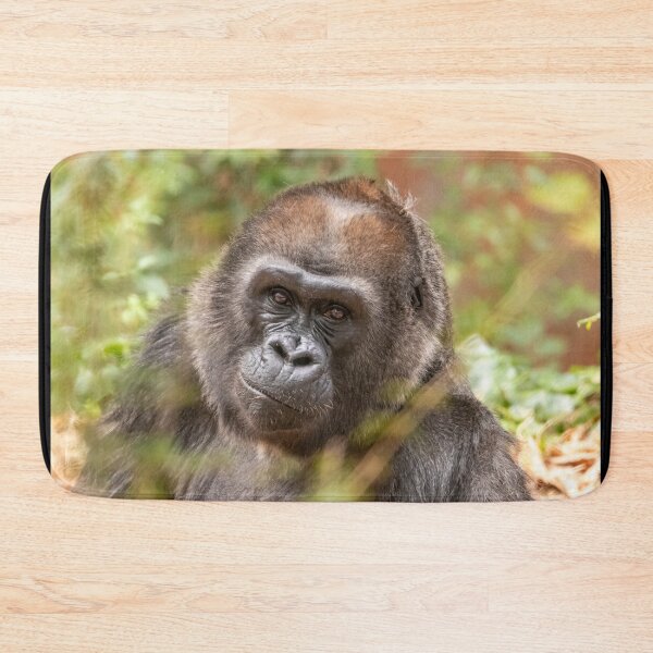 Item preview, Gorilla Machi at Zoo Atlanta designed and sold by Zoo and Nature Photography by Karie.