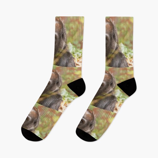 Item preview, Gorilla Machi at Zoo Atlanta designed and sold by Zoo and Nature Photography by Karie.