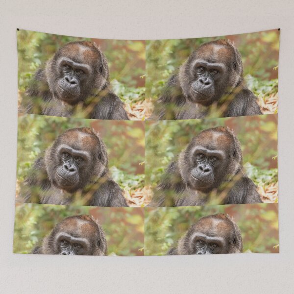 Item preview, Gorilla Machi at Zoo Atlanta designed and sold by Zoo and Nature Photography by Karie.