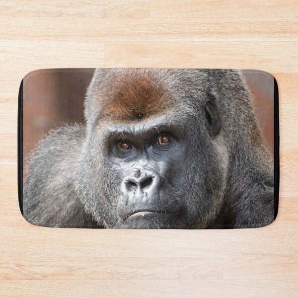 Item preview, Gorilla Kekla at Zoo Atlanta designed and sold by Zoo and Nature Photography by Karie.