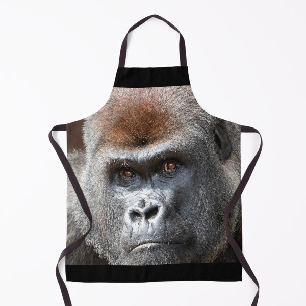 Item preview, Gorilla Kekla at Zoo Atlanta designed and sold by Zoo and Nature Photography by Karie.