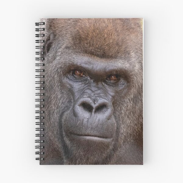 Item preview, Gorilla Stadi at Zoo Atlanta designed and sold by Zoo and Nature Photography by Karie.