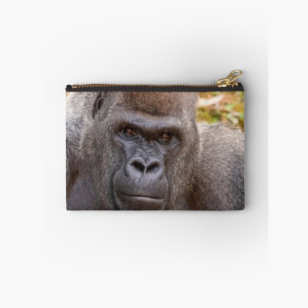 Item preview, Gorilla Stadi at Zoo Atlanta designed and sold by Zoo and Nature Photography by Karie.