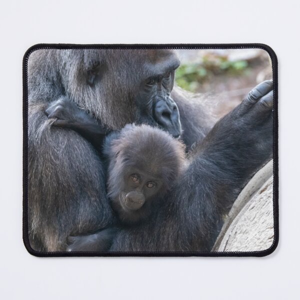 Item preview, Mother and Baby Gorilla at Zoo Atlanta designed and sold by Zoo and Nature Photography by Karie.