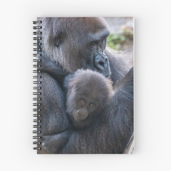 Item preview, Mother and Baby Gorilla at Zoo Atlanta designed and sold by Zoo and Nature Photography by Karie.