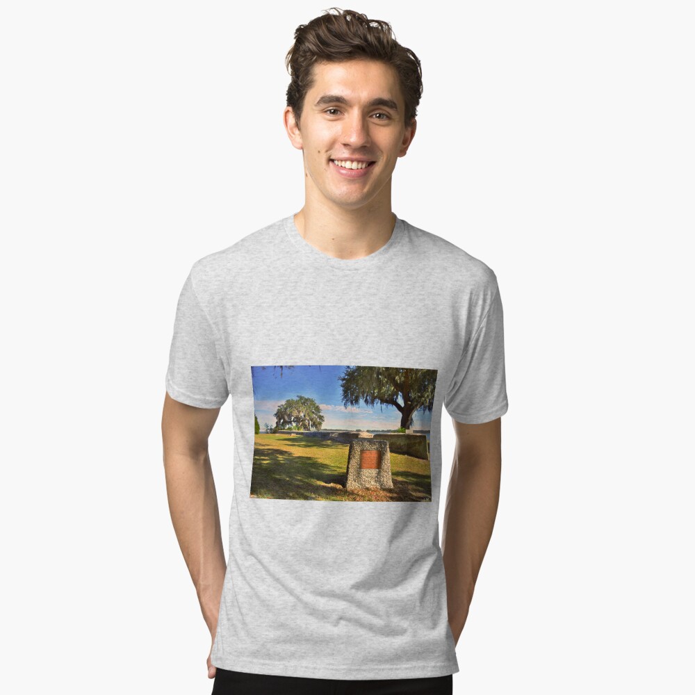 Item preview, Tri-blend T-Shirt designed and sold by LisaWootenPhoto.