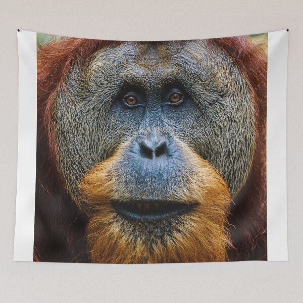 Item preview, Brown gorilla designed and sold by jsebouvi.