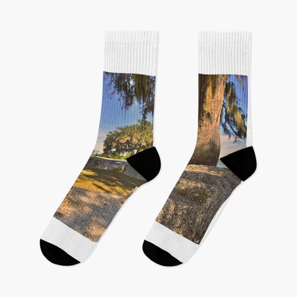 Item preview, Fort Frederick Port Royal South Carolina designed and sold by LisaWootenPhoto.