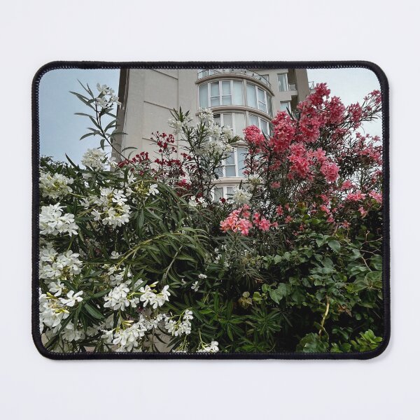 Item preview, Malta photo aesthetic views designed and sold by olusiamerch.