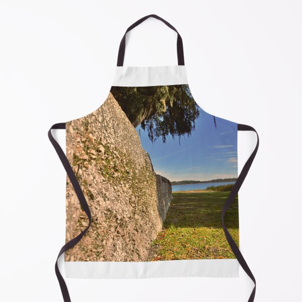 Item preview, Fort Frederick Port Royal South Carolina Wall designed and sold by LisaWootenPhoto.