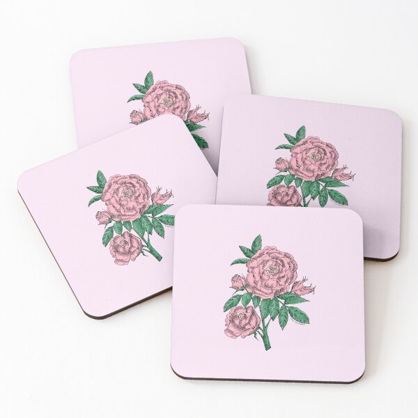 Item preview, Light Pink Globular Rose Bloom Double 16-25 Petals In 3+ Rows designed and sold by zenithcreative.