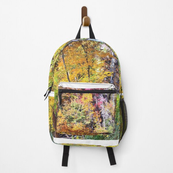 Item preview, Beechbottom Falls Pickens County South Carolina In Autumn designed and sold by LisaWootenPhoto.