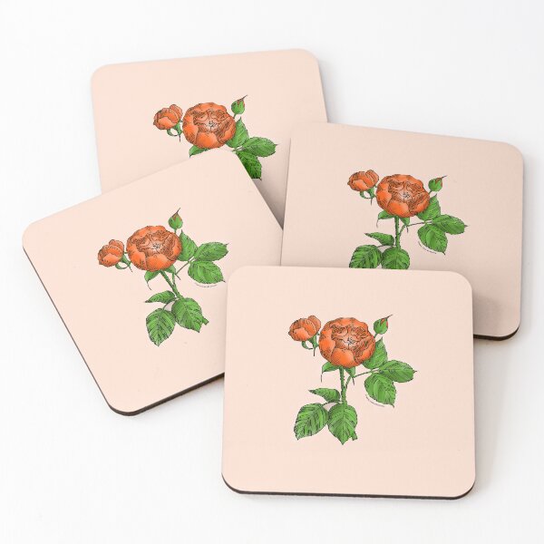Item preview, Orange Globular Rose Bloom Semi-Double 8-15 Petals In 2 Rows designed and sold by zenithcreative.