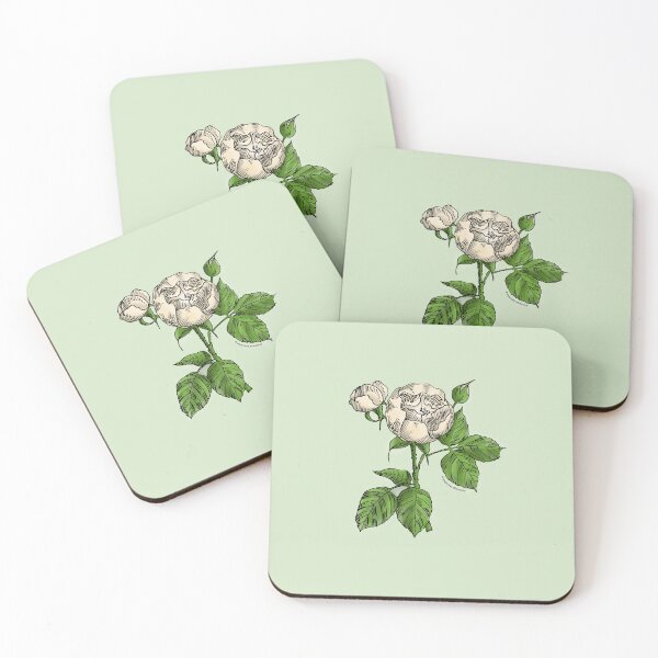 Item preview, Cream Globular Rose Bloom Semi-Double 8-15 Petals In 2 Rows designed and sold by zenithcreative.