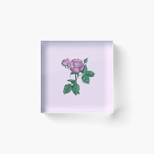 Item preview, Purple Globular Rose Bloom Semi-Double 8-15 Petals In 2 Rows designed and sold by Rachael Taylor.