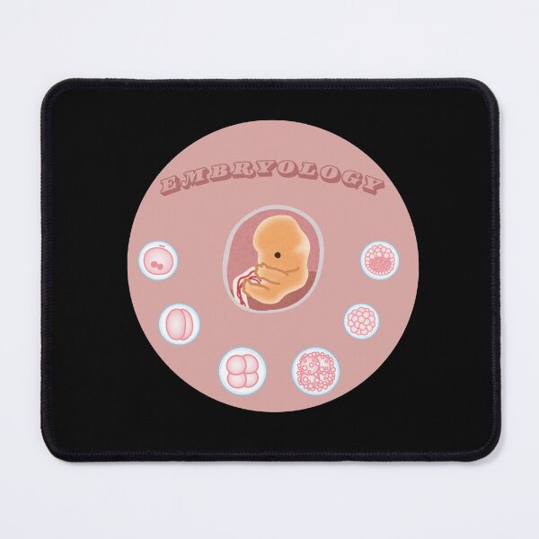 Item preview, Embryology designed and sold by Perkosia-Space.