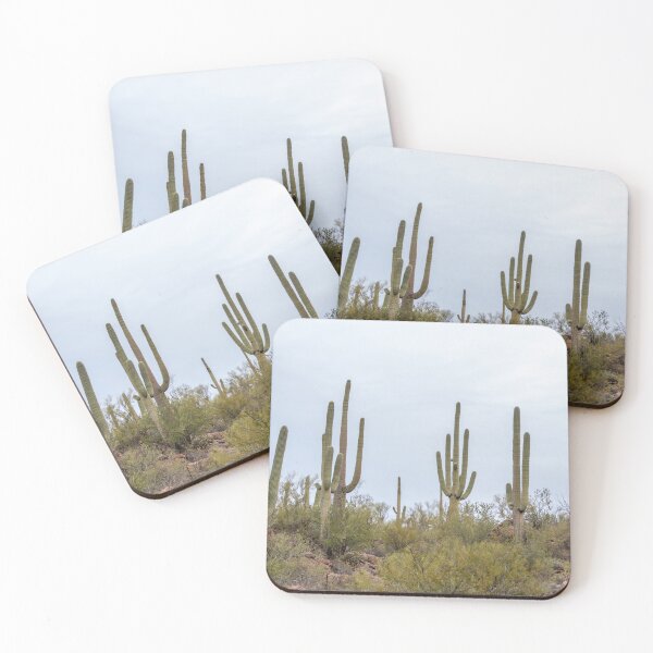 Aperçu de l'œuvre Champ de cactus Saguaro créée et vendue par SafariByMarisa.