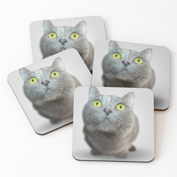 Item preview, the cat is confused designed and sold by minstudio.