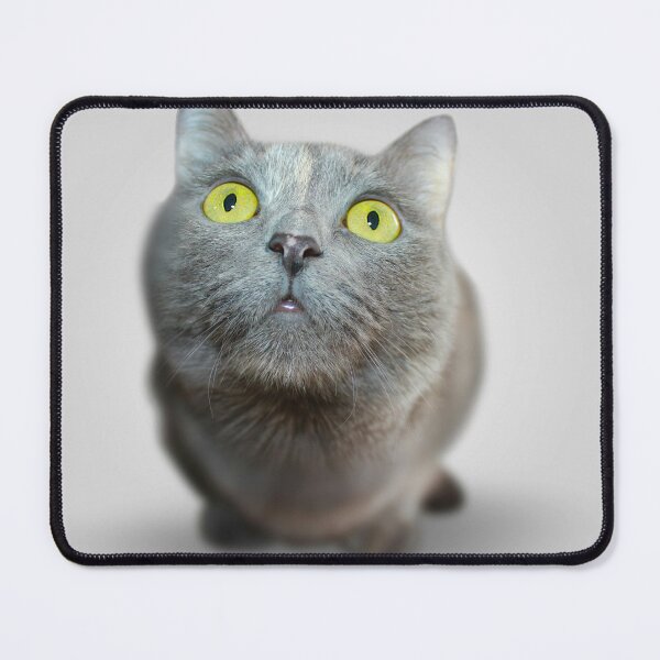 Item preview, the cat is confused designed and sold by minstudio.