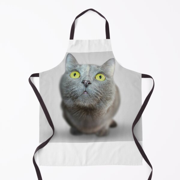 Item preview, the cat is confused designed and sold by minstudio.
