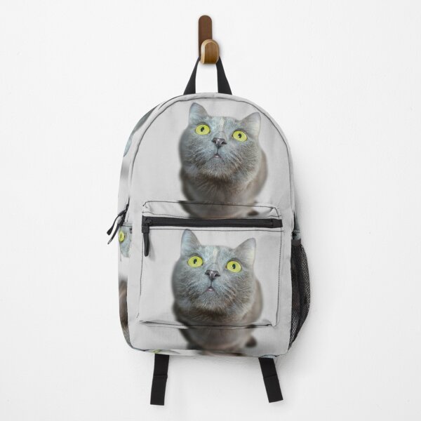 Item preview, the cat is confused designed and sold by minstudio.