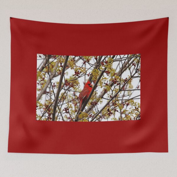 Item preview, Northern Cardinal In Spring Maple Tree designed and sold by Debbie Oppermann.