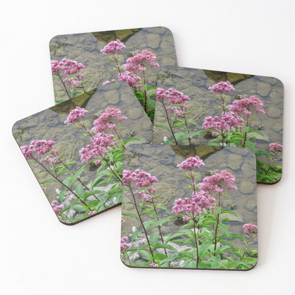 Item preview, Milkweed  designed and sold by Shulie1.