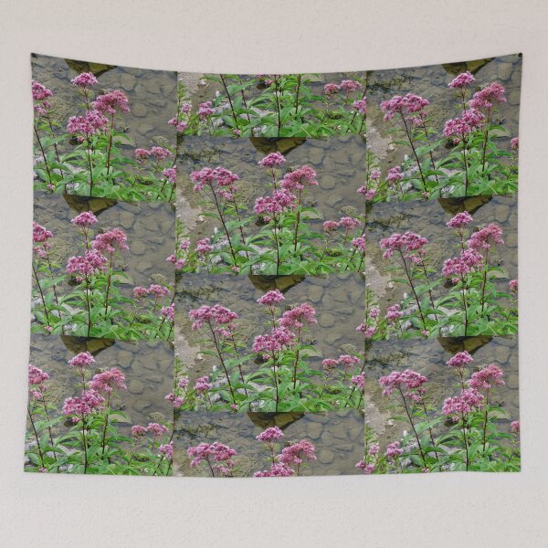 Item preview, Milkweed  designed and sold by Shulie1.