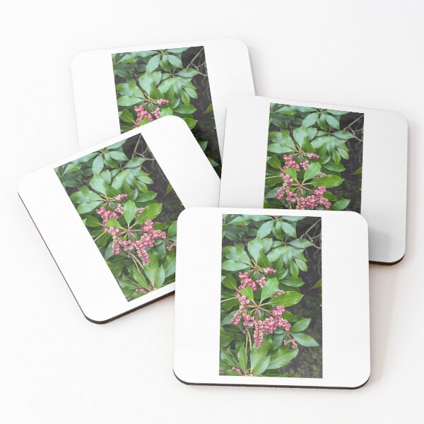 Item preview, Cool flowers designed and sold by Cheryl Altschuler.
