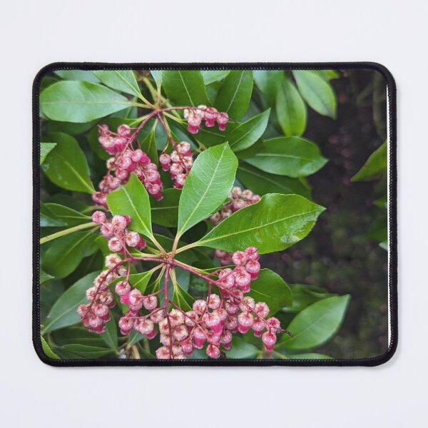 Item preview, Cool flowers designed and sold by Cheryl Altschuler.