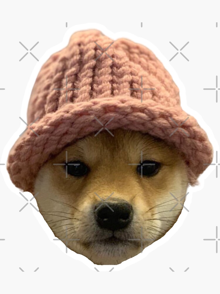 DOG WIF HAT WIF Meme Coin Cryptocurrency dogwifhat