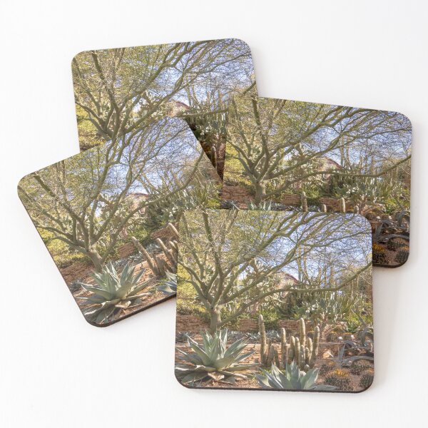 Item preview, Desert Succulents and Cacti designed and sold by SafariByMarisa.