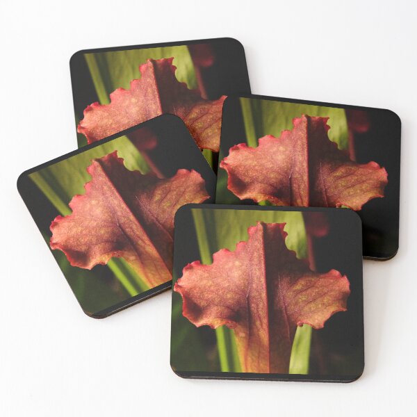 Item preview, Judith Hindle designed and sold by Tippitiwichet.