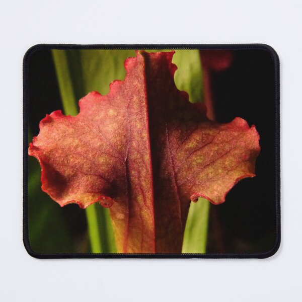 Item preview, Judith Hindle designed and sold by Tippitiwichet.