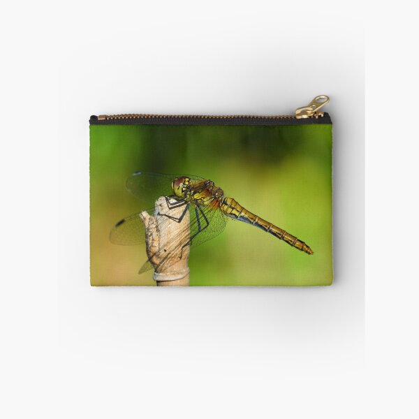 Item preview, Female Common Darter Dragonfly perched on cane. designed and sold by Umdash919.