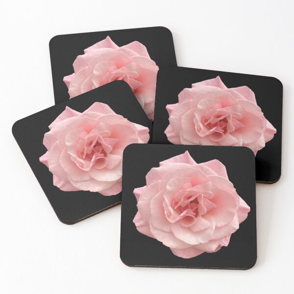 Item preview, Pink Rose designed and sold by ascherf.