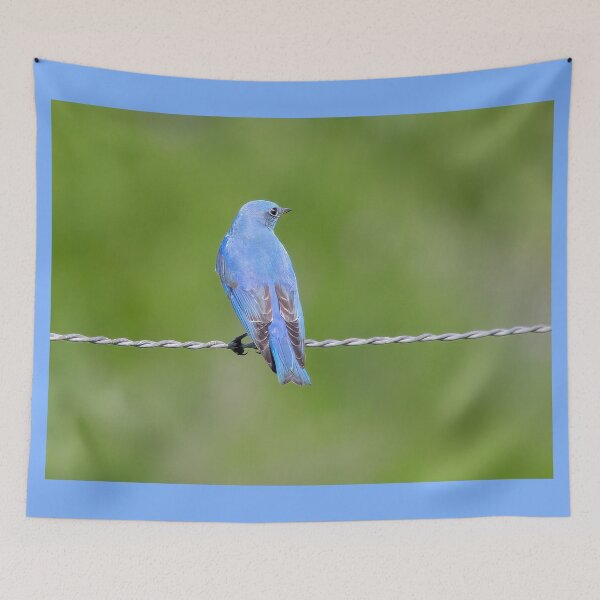 Item preview, Mountain Bluebird designed and sold by CarolM.